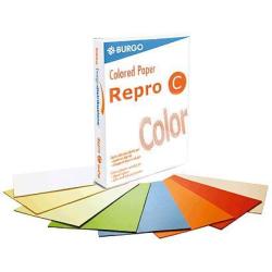 REPRO C